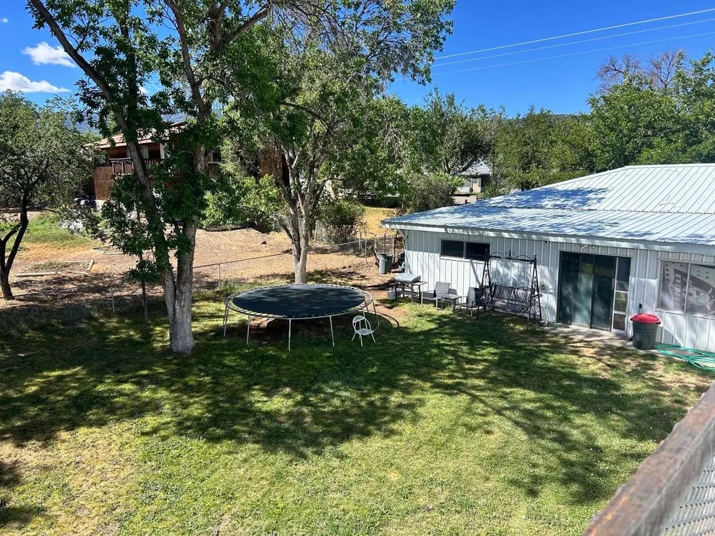 Backyard scene with trampoline under large tree, metal shed, and green lawn on sunny day